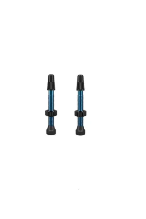 Ultimissimo Modello tubeless valvole wtb wtb juego válvulas tcs aluminio 46 mm