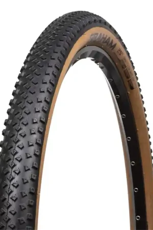 pneumatico chaoyang chaoyang graham tlr 29x2.20 Subito Disponibile