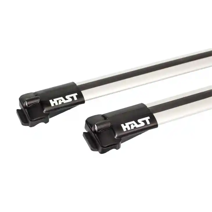 Ultime Pezzi portapacchi hast hast barra railing h33 plata