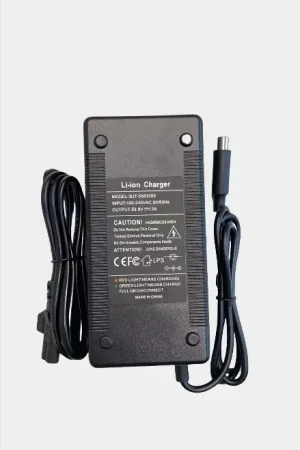 Esclusivo Carica batteria 58.8V 3A (connettore 8.0mm) Compatibile per bicicletta elettrica ENGWE Engine Pro 2.0 e Altri