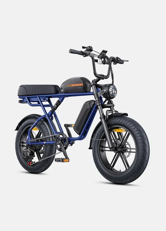 ENGWE M1 | Bicicletta Elettrica per due passeggeri | Versatile | Motore 250W | 48V 15.6Ah/15.6Ah+13Ah | GARANZIA ITALIANA Pagamento Sicuro